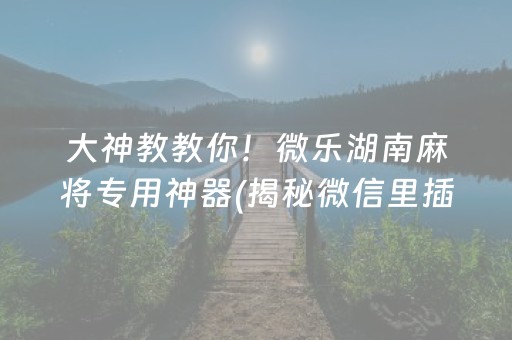 大神教教你！微乐湖南麻将专用神器(揭秘微信里插件购买)