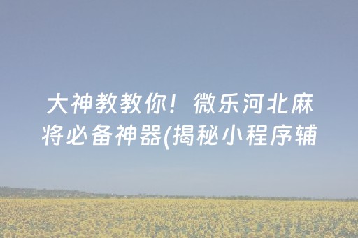 大神教教你！微乐河北麻将必备神器(揭秘小程序辅牌器)