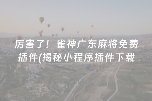 厉害了！雀神广东麻将免费插件(揭秘小程序插件下载)