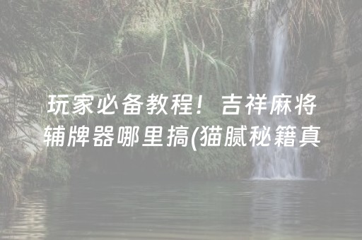 玩家必备教程！吉祥麻将辅牌器哪里搞(猫腻秘籍真的有挂)