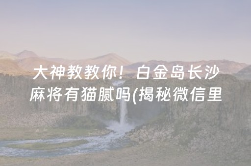 大神教教你！白金岛长沙麻将有猫腻吗(揭秘微信里插件下载)