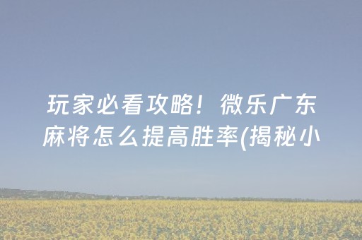 玩家必看攻略！微乐广东麻将怎么提高胜率(揭秘小程序助赢神器)