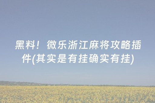 黑料！微乐浙江麻将攻略插件(其实是有挂确实有挂)