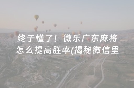 终于懂了！微乐广东麻将怎么提高胜率(揭秘微信里辅牌器)