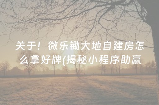 关于！微乐锄大地自建房怎么拿好牌(揭秘小程序助赢软件)
