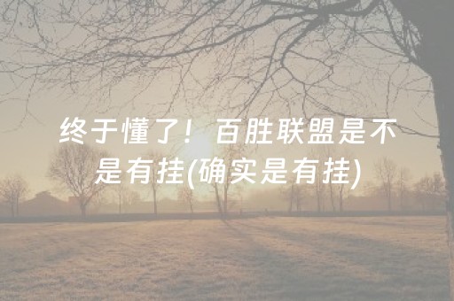 终于懂了！百胜联盟是不是有挂(确实是有挂)