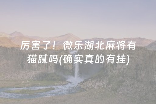 厉害了！微乐湖北麻将有猫腻吗(确实真的有挂)