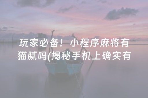 玩家必备！小程序麻将有猫腻吗(揭秘手机上确实有猫腻)