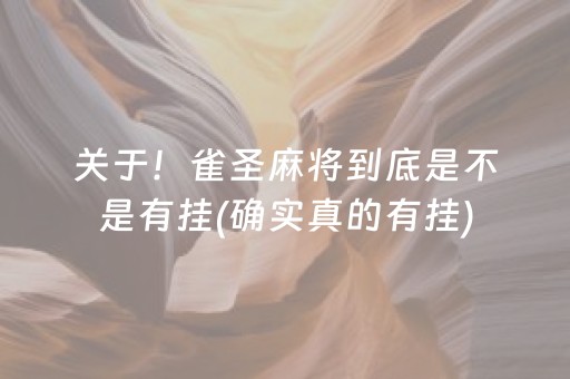 关于！雀圣麻将到底是不是有挂(确实真的有挂)