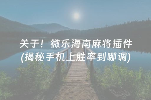 关于！微乐海南麻将插件(揭秘手机上胜率到哪调)