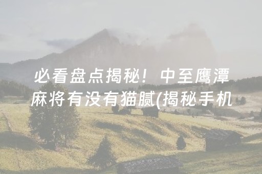 必看盘点揭秘！中至鹰潭麻将有没有猫腻(揭秘手机上提高胜率)