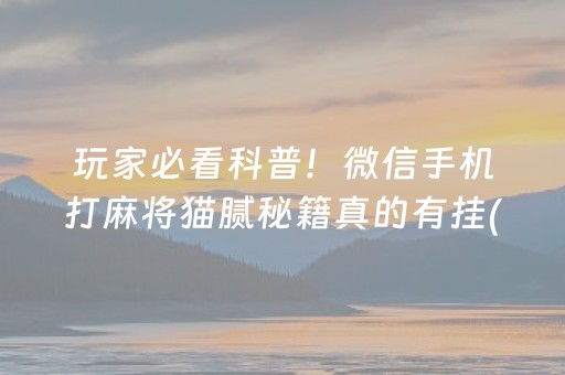 玩家必看科普！微信手机打麻将猫腻秘籍真的有挂(其实是有挂的)