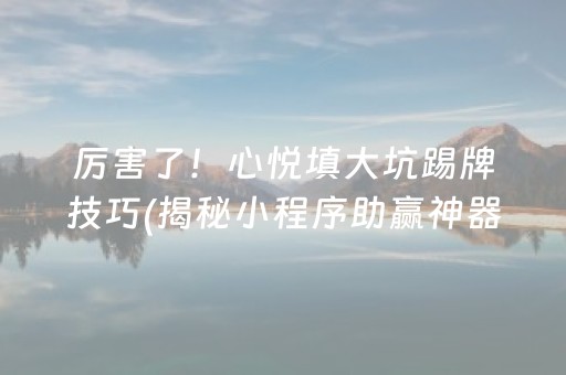 厉害了！心悦填大坑踢牌技巧(揭秘小程序助赢神器购买)