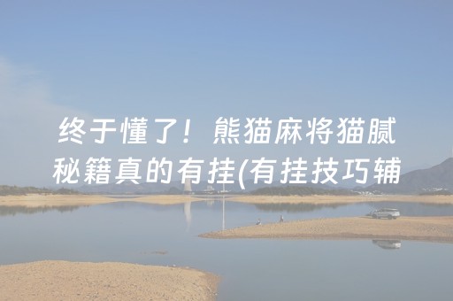 终于懂了！熊猫麻将猫腻秘籍真的有挂(有挂技巧辅助器)