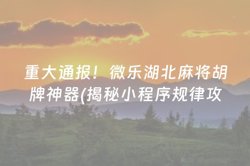 重大通报！微乐湖北麻将胡牌神器(揭秘小程序规律攻略)