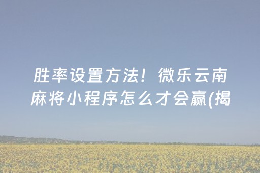 胜率设置方法！微乐云南麻将小程序怎么才会赢(揭秘手机上赢牌技巧)
