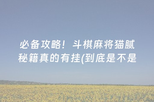 必备攻略！斗棋麻将猫腻秘籍真的有挂(到底是不是有挂)