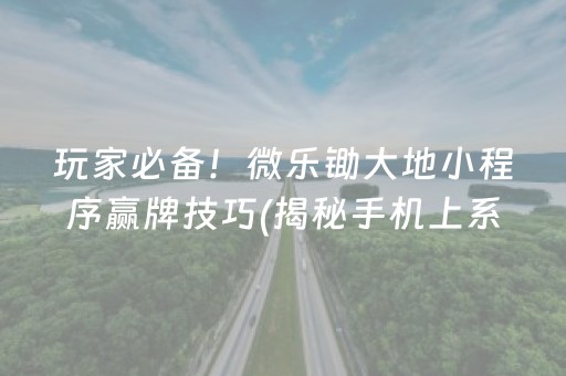 玩家必备！微乐锄大地小程序赢牌技巧(揭秘手机上系统发好牌)