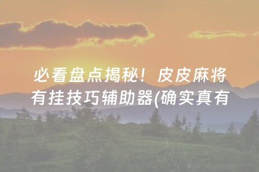必看盘点揭秘！皮皮麻将有挂技巧辅助器(确实真有挂)