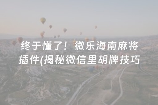 终于懂了！微乐海南麻将插件(揭秘微信里胡牌技巧)
