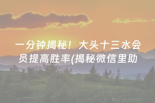 一分钟揭秘！大头十三水会员提高胜率(揭秘微信里助赢神器购买)