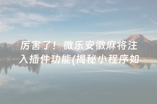 厉害了！微乐安徽麻将注入插件功能(揭秘小程序如何让牌变好)