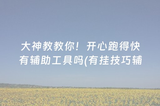 大神教教你！开心跑得快有辅助工具吗(有挂技巧辅助器)