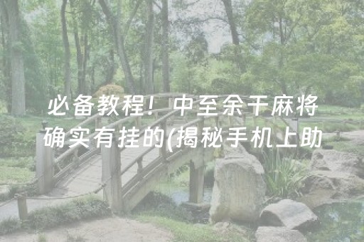 必备教程！中至余干麻将确实有挂的(揭秘手机上助赢神器购买)