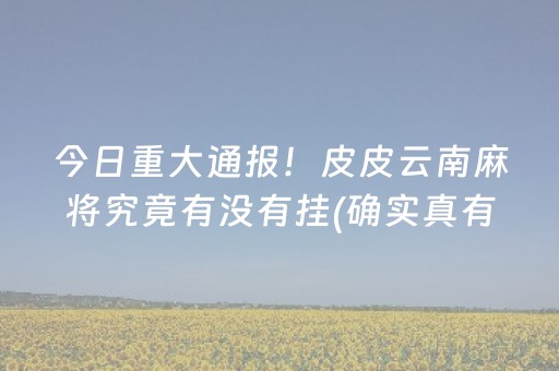 今日重大通报！皮皮云南麻将究竟有没有挂(确实真有挂)