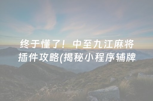 终于懂了！中至九江麻将插件攻略(揭秘小程序辅牌器)