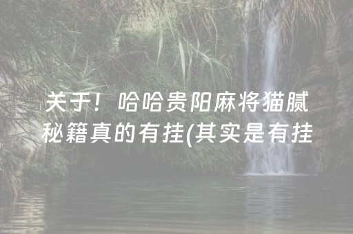 关于！哈哈贵阳麻将猫腻秘籍真的有挂(其实是有挂确实有挂)