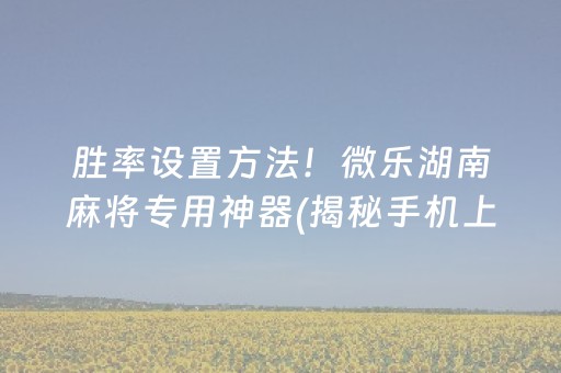 胜率设置方法！微乐湖南麻将专用神器(揭秘手机上胜率到哪调)