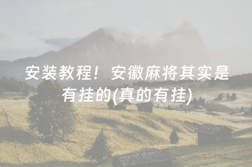 安装教程！安徽麻将其实是有挂的(真的有挂)