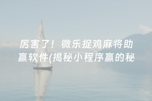厉害了！微乐捉鸡麻将助赢软件(揭秘小程序赢的秘诀)