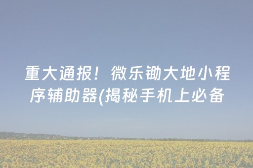 重大通报！微乐锄大地小程序辅助器(揭秘手机上必备神器)