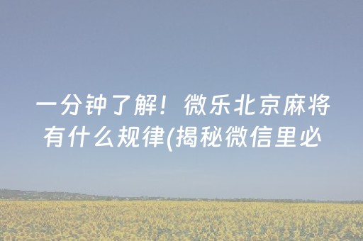 一分钟了解！微乐北京麻将有什么规律(揭秘微信里必备神器)