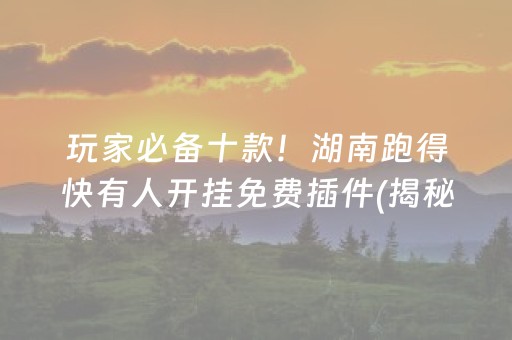 玩家必备十款！湖南跑得快有人开挂免费插件(揭秘手机上胜率到哪调)