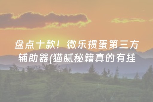 盘点十款！微乐掼蛋第三方辅助器(猫腻秘籍真的有挂)