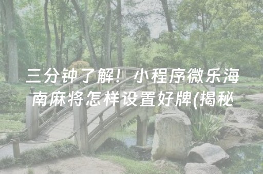 三分钟了解！小程序微乐海南麻将怎样设置好牌(揭秘手机上系统发好牌)