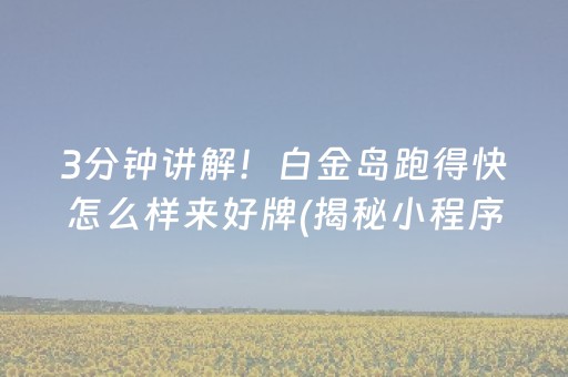 3分钟讲解！白金岛跑得快怎么样来好牌(揭秘小程序助手软件)