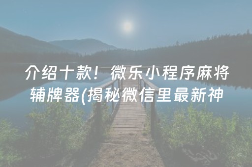 介绍十款！微乐小程序麻将辅牌器(揭秘微信里最新神器下载)
