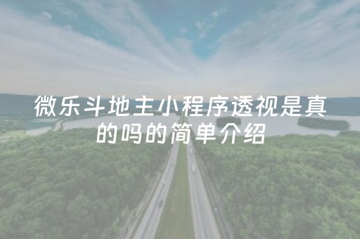 微乐斗地主小程序透视是真的吗的简单介绍（微乐斗地主小程序透视）
