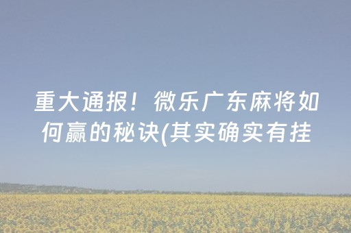 重大通报！微乐广东麻将如何赢的秘诀(其实确实有挂)