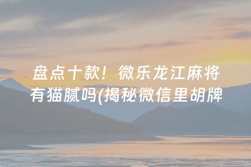 盘点十款！微乐龙江麻将有猫腻吗(揭秘微信里胡牌神器)