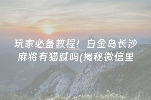 玩家必备教程！白金岛长沙麻将有猫腻吗(揭秘微信里攻略插件)