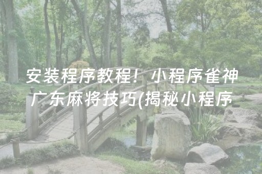 安装程序教程！小程序雀神广东麻将技巧(揭秘小程序专用神器)