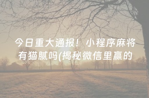 今日重大通报！小程序麻将有猫腻吗(揭秘微信里赢的秘诀)