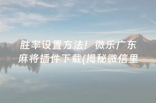 胜率设置方法！微乐广东麻将插件下载(揭秘微信里最新神器下载)