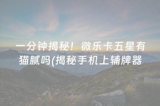一分钟揭秘！微乐卡五星有猫腻吗(揭秘手机上辅牌器)