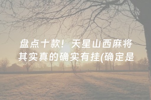 盘点十款！天星山西麻将其实真的确实有挂(确定是有挂)